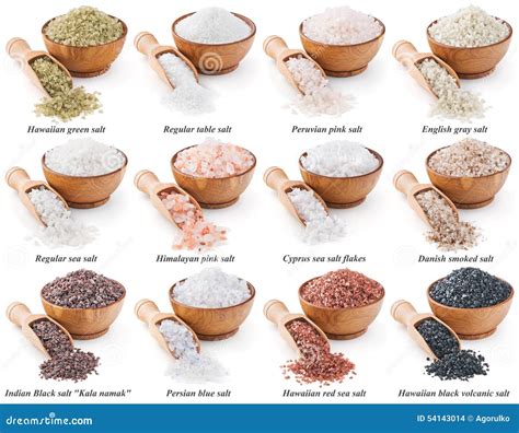 collection   types  salt isolated  stock photo image