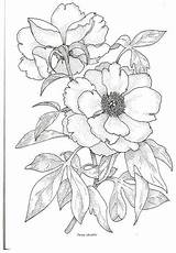 Painting Fabric Floral Designs Flower Indusladies sketch template