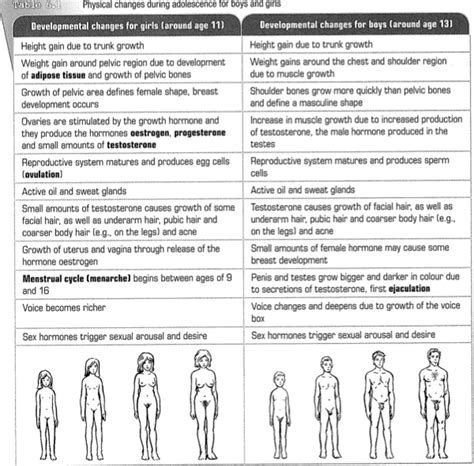 lesson resources puberty rlandmantyrie