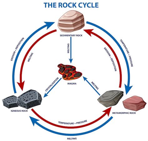 vector diagram showing rock cycle