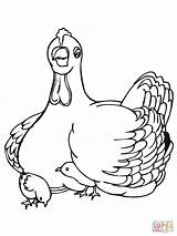 Gallina Pollitos Hen sketch template