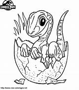 Dinosaure Coloriages sketch template