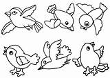 Cute Coloring Bird Pages Color Getcolorings Birds sketch template
