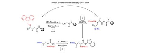 peptide synthesis continuous flow chemistry vapourtec