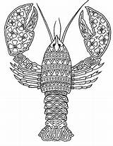 Lobster Coloring Zentangle Preview sketch template