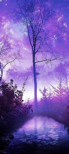 beautiful landscape photography misty lavender morning beautiful landscapes shades