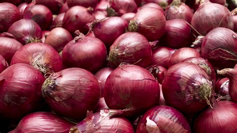 onion recall salmonella outbreak linked  onions expands  hundreds