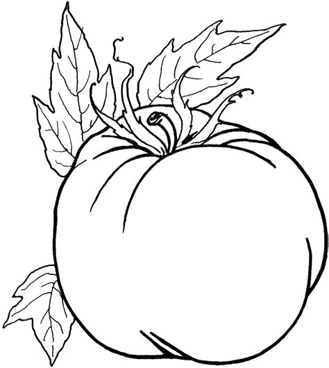 vegetables printable coloring pages