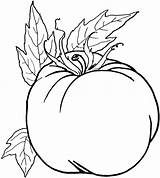 Vegetable Coloring Vegetables Pages Food Healthy Drawing Pumpkin Kids Line Fall Fruits Printable Color Fruit Unhealthy Clipart Draw Vpi Veggies sketch template
