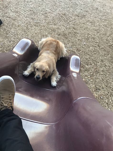 My Little Big Ass Girl’s First Time On A Slide