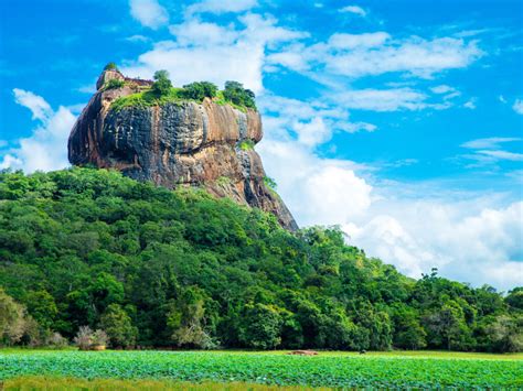 Sri Lanka To Welcome Back Tourists From 21 January
