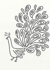Peacock Outline Drawing Colouring Getdrawings sketch template
