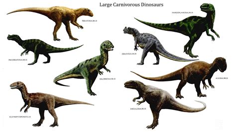 large carnivorous dinosaurs carnivore dinosaurs