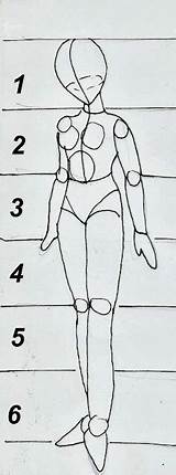Feminino Anatomia Desenho Feminina sketch template