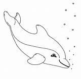 Delfin Delfine Malvorlage Wale Delphin Malvorlagen Kostenlose Schule Meerjungfrau Malen Leichte Drucken Inspirierend Dolphins Besuchen Quellbild sketch template