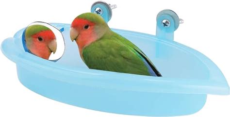 bird bath tub parrot bathroom  mirror  small parrots budgie parakeet cockatiel conure