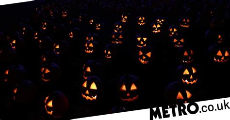 Happy Halloween Jokes Memes Images And Quotes To Celebrate Metro News