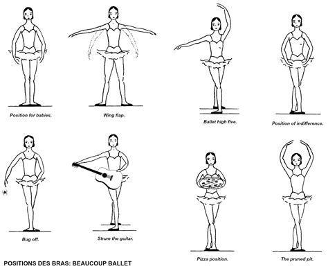 Ballet Explained Positions Of The Arms And Body Movita