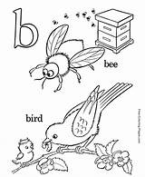 Coloring Alphabet Pages Bird sketch template
