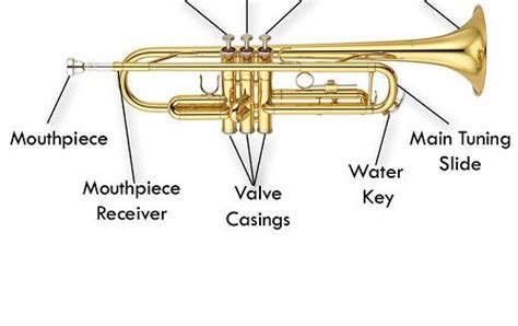 diagram   parts   trumpet vocabulary diagram musical instruments pinterest