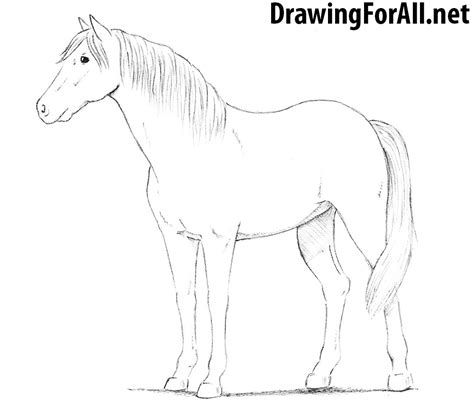 draw  horse