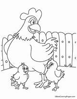 Hen Coloring Chicks Playing sketch template