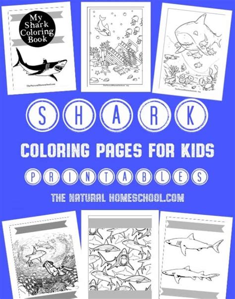 shark activity coloring pages  kids printables  natural