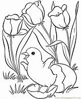 Spring Coloring Pages Printable Birds Chicks Hens Roosters Color Sheets Kids Easter Flowers Flower Size Print Kid Copii sketch template