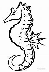 Seahorse Seepferdchen Malvorlagen Cool2bkids Unicorn Realistische Ausdrucken sketch template