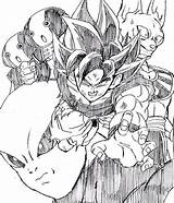 Goku Beerus Jiren Zeno Ssjg Akira King Colorir Preto Disegnare sketch template
