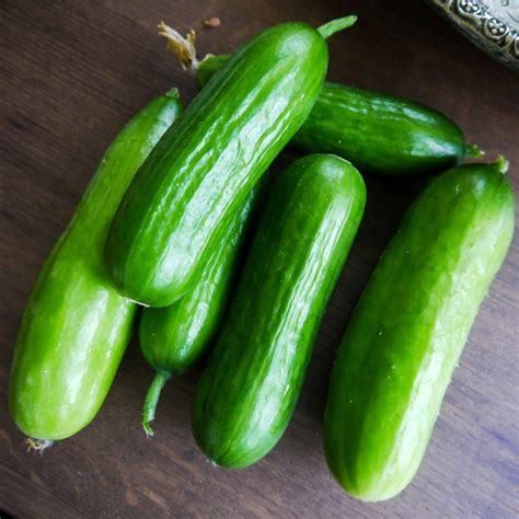 snack komkommer zaaien en kweken makkelijke moestuin