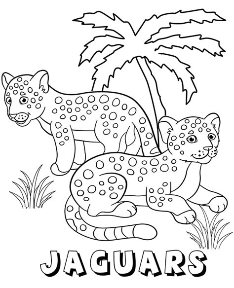 jaguar coloring pages  coloring pages  kids