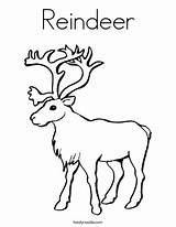 Reindeer Coloring Pages Worksheet Print Noodle Do Outline Santa Animals Twistynoodle Twisty Favorites Login Add sketch template