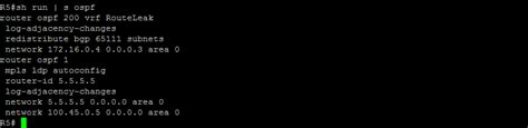 routeleakmpls  vpn ospf  pe ce routeleak