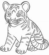 Tigre Pintar Poplembrancinhas sketch template