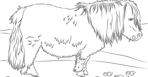 wild horse coloring pages pictures coloring pages  children