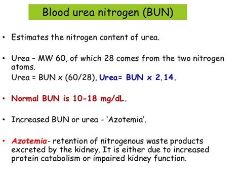 renal funcion test