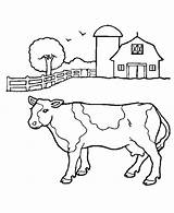 Coloring Cow Barn Pages Front Milk Cows Cattle Ox Color Print Farmers Musk Getcolorings Size Netart Kids sketch template