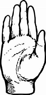 Drawing Hand Palm Clip Clipart Hands sketch template