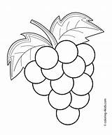 Coloring Pages Kids Grapes Fruits Printable Vegetable Fruit Colouring Drawing Easy Spring Sheets 4kids Drawings Preschool sketch template