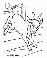 Goat Coloring Pages Baby Frisky Goats Color Printable Online Getcolorings Print Young sketch template