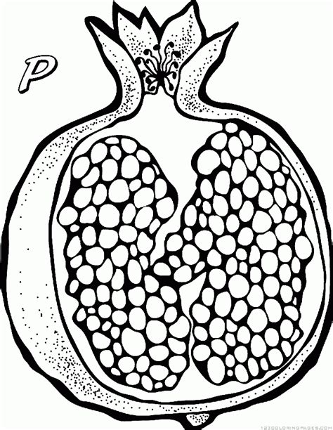 pomegranate coloring pages coloring home