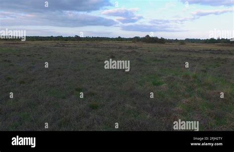 dpi drone stock  footage hd   video clips alamy
