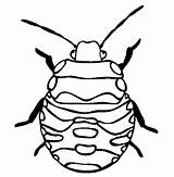 Coloring Bug Beetle Stink Pages Color Pill Tocolor Bugs Place Beetles Clipartmag Getdrawings Drawing Getcolorings Insects Printable sketch template