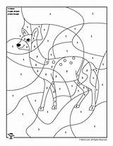 Preschool Woo Winter Fibers Woojr sketch template