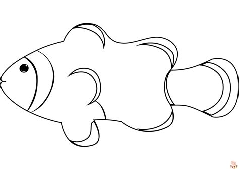 clown fish drawing outline