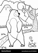 Bear Coloring Pages Cute Vector Royalty sketch template