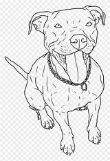 Pitbull Pit Husky Pngfind Draw Bulls Hund Bebé Webstockreview Malen sketch template