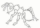 Coloring Insects Kids Pages Color Insect Ant Printable Simple sketch template