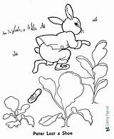 Rabbit Peter Coloring Pages Printable Below Click sketch template